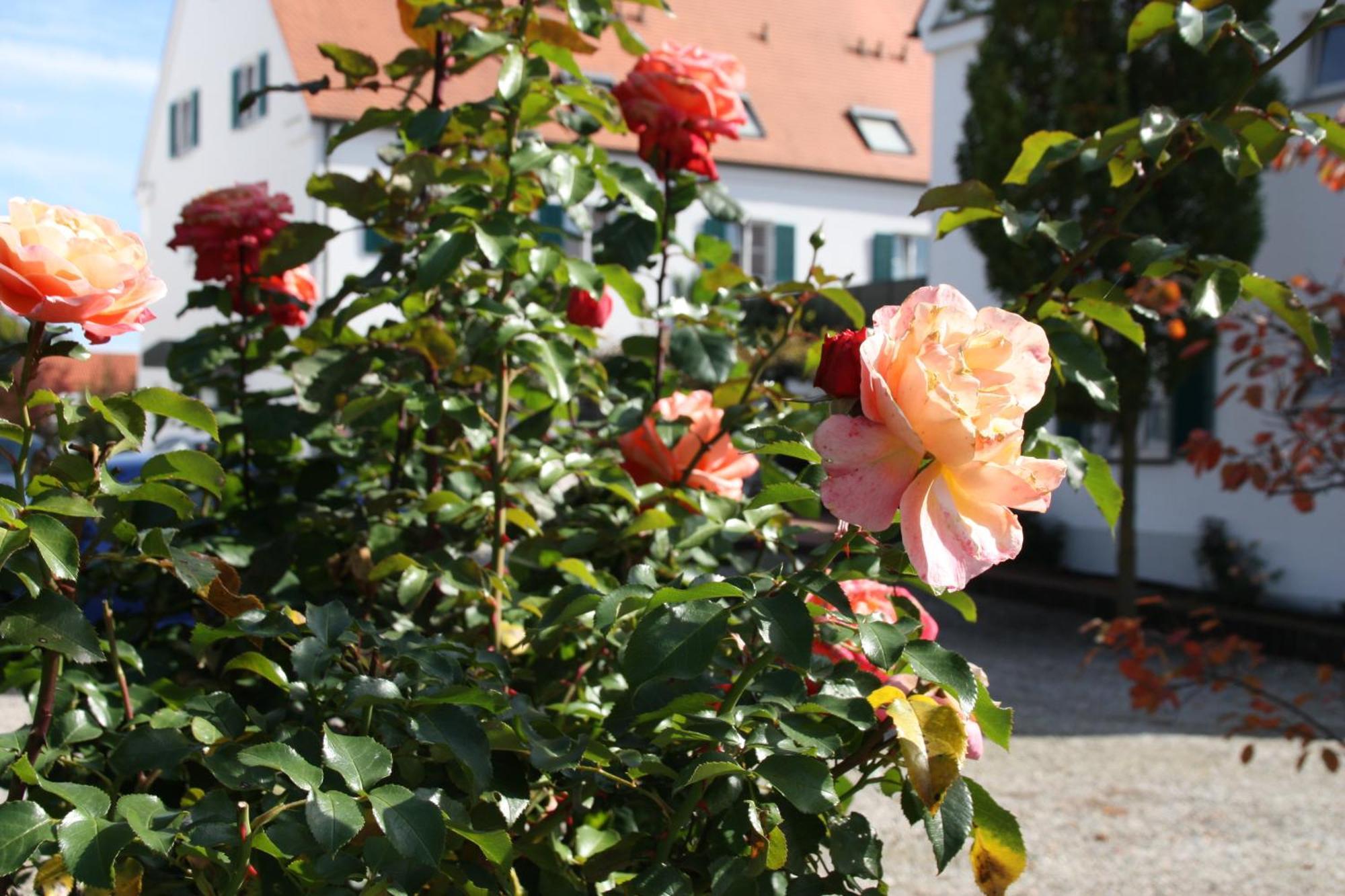 Hotel Gasthaus Wangerhof Аугсбург Екстериор снимка